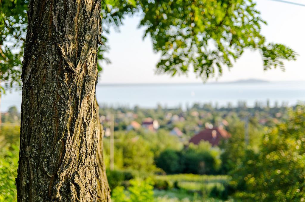 Hillside Apartments Révfülöp Buitenkant foto